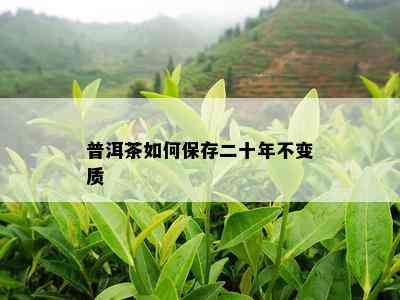 普洱茶如何保存二十年不变质