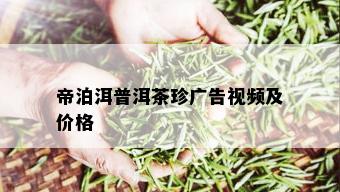 帝泊洱普洱茶珍广告视频及价格