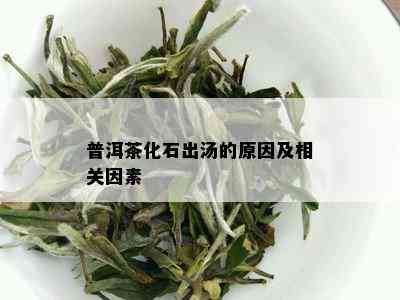 普洱茶化石出汤的原因及相关因素