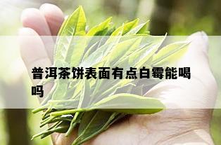 普洱茶饼表面有点白霉能喝吗