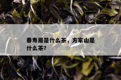 春寿眉是什么茶，方家山是什么茶？