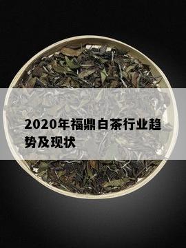 2020年福鼎白茶行业趋势及现状