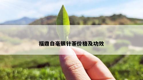 福鼎白毫银针茶价格及功效