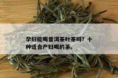 孕妇能喝普洱茶叶茶吗？十种适合产妇喝的茶。