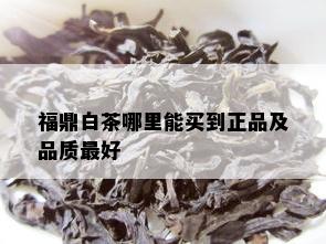 福鼎白茶哪里能买到正品及品质更好