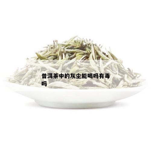 普洱茶中的灰尘能喝吗有吗