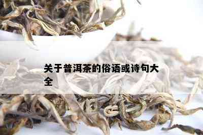 关于普洱茶的俗语或诗句大全