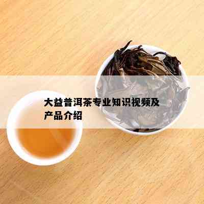 大益普洱茶专业知识视频及产品介绍