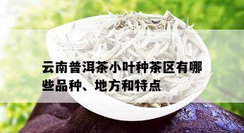 云南普洱茶小叶种茶区有哪些品种、地方和特点