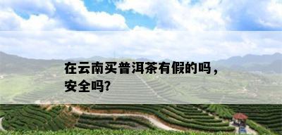 在云南买普洱茶有假的吗，安全吗？