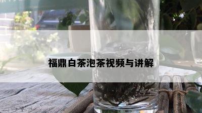 福鼎白茶泡茶视频与讲解