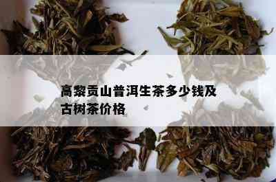 高黎贡山普洱生茶多少钱及古树茶价格