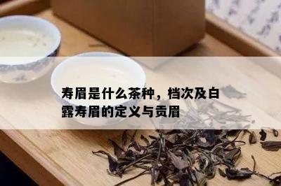 寿眉是什么茶种，档次及白露寿眉的定义与贡眉