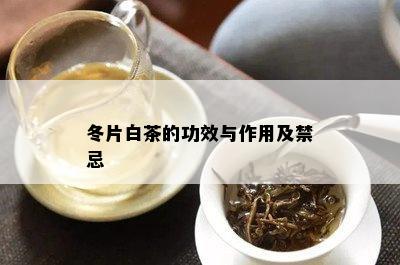 冬片白茶的功效与作用及禁忌