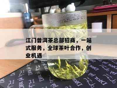 江门普洱茶总部招商，一站式服务，全球茶叶合作，创业机遇