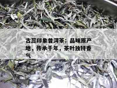 古蕊印象普洱茶：品味原产地，传承千年，茶叶独特香气