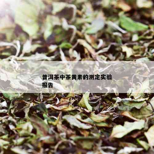 普洱茶中茶黄素的测定实验报告