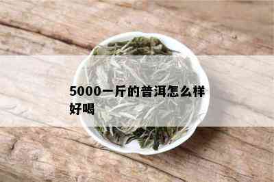 5000一斤的普洱怎么样好喝