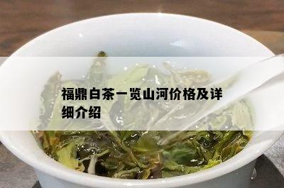 福鼎白茶一览山河价格及详细介绍