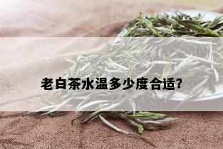 老白茶水温多少度合适？