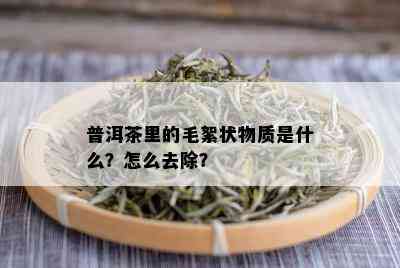 普洱茶里的毛絮状物质是什么？怎么去除？