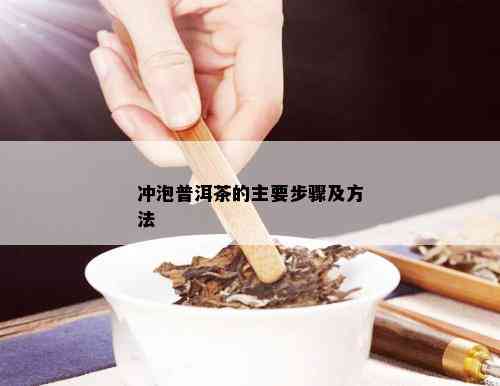 冲泡普洱茶的主要步骤及方法