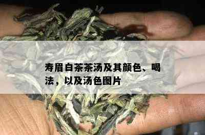 寿眉白茶茶汤及其颜色、喝法，以及汤色图片