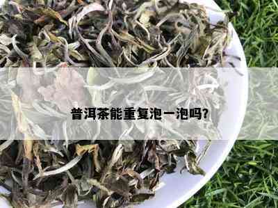 普洱茶能重复泡一泡吗？