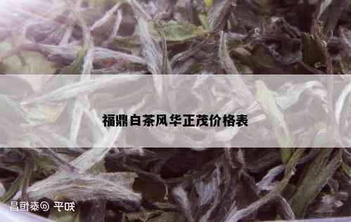 福鼎白茶风华正茂价格表