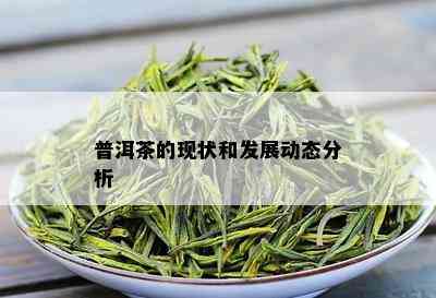 普洱茶的现状和发展动态分析