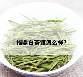 福鼎白茶馆怎么样？