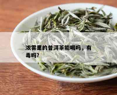 浓雾里的普洱茶能喝吗，有吗？