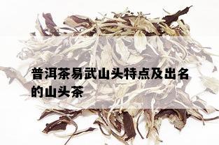 普洱茶易武山头特点及出名的山头茶