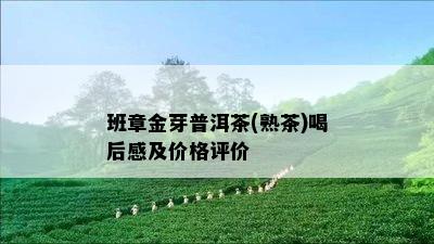 班章金芽普洱茶(熟茶)喝后感及价格评价