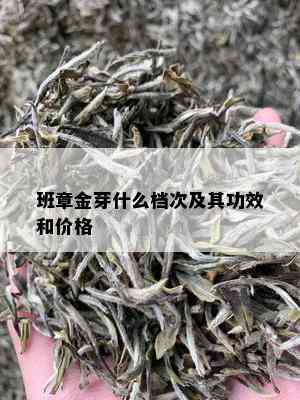 班章金芽什么档次及其功效和价格