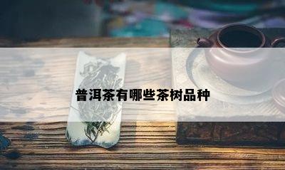 普洱茶有哪些茶树品种