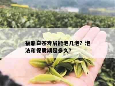 福鼎白茶寿眉能泡几泡？泡法和保质期是多久？