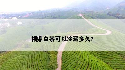 福鼎白茶可以冷藏多久？