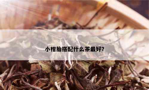 小柑胎搭配什么茶更好？