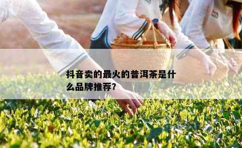 抖音卖的最火的普洱茶是什么品牌推荐？