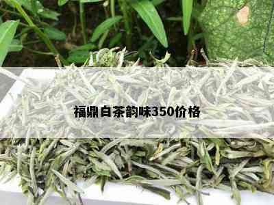 福鼎白茶韵味350价格