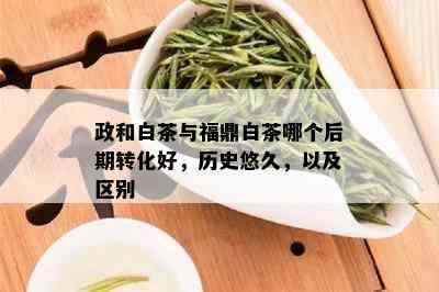 政和白茶与福鼎白茶哪个后期转化好，历史悠久，以及区别