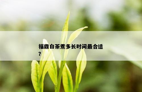 福鼎白茶煮多长时间最合适？