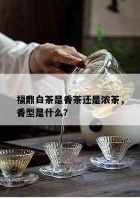 福鼎白茶是香茶还是浓茶，香型是什么？