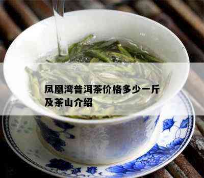 凤凰湾普洱茶价格多少一斤及茶山介绍