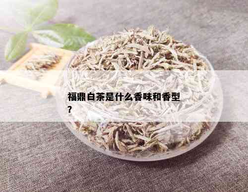 福鼎白茶是什么香味和香型？