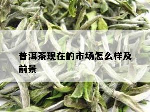 普洱茶现在的市场怎么样及前景