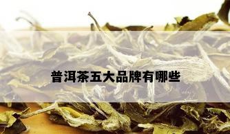 普洱茶五大品牌有哪些