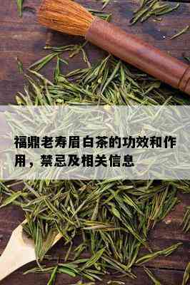 福鼎老寿眉白茶的功效和作用，禁忌及相关信息