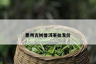 惠州古树普洱茶批发价